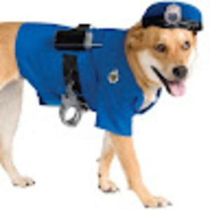 Meet your Posher, Benson